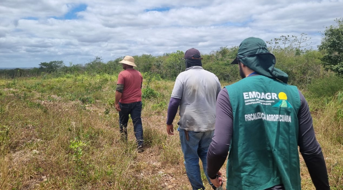 Emdagro intensifica fiscalização sobre uso de agrotóxicos em propriedades rurais de Sergipe