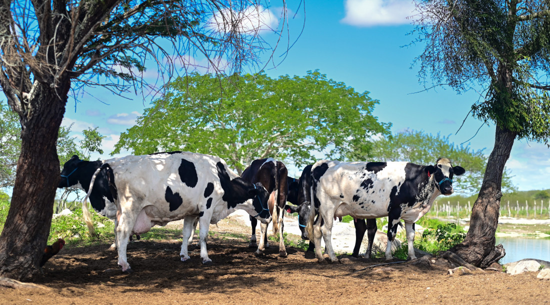 Edital para construção da Adutora do Leite é lançado pelo Governo do Estado