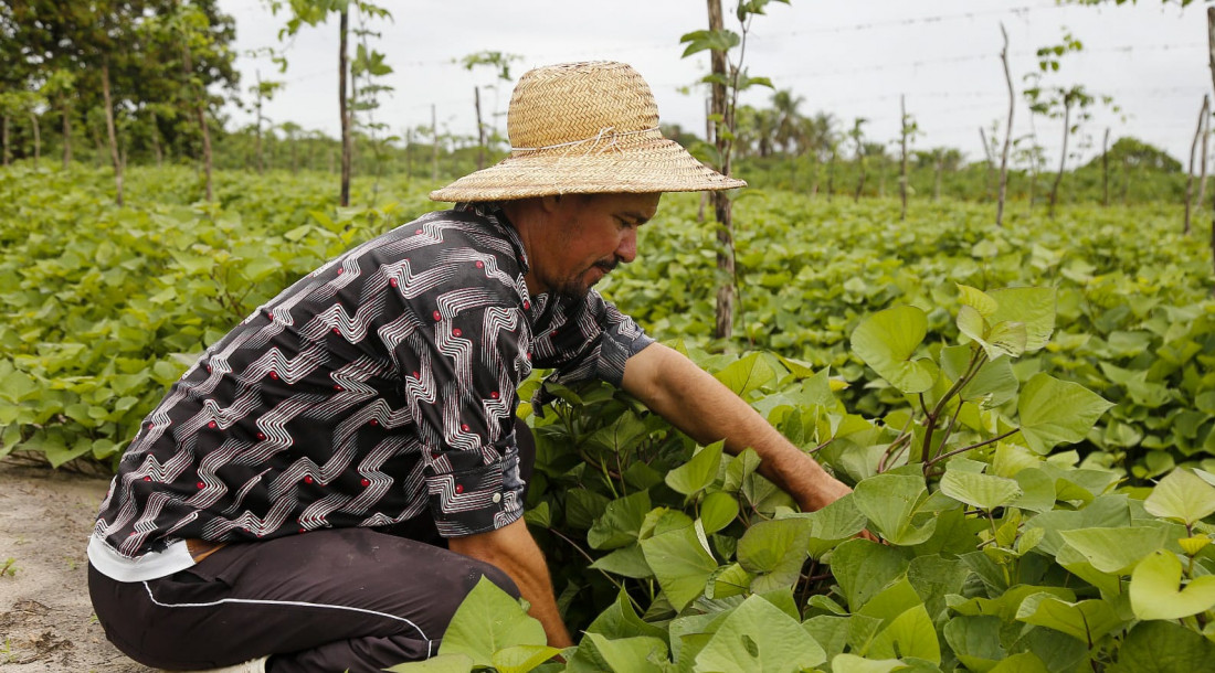 Governo do Estado contribui para produtividade de agricultores de Salgado por meio do Crédito Fundiário