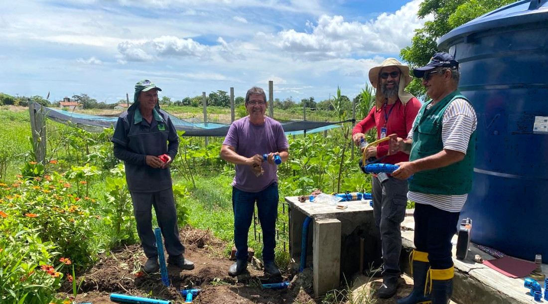 Agrofloresta irrigada fortalece produção sustentável em comunidade quilombola de Capela