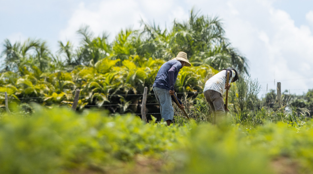 Agricultores de 14 municípios sergipanos começam a receber recursos do Garantia Safra