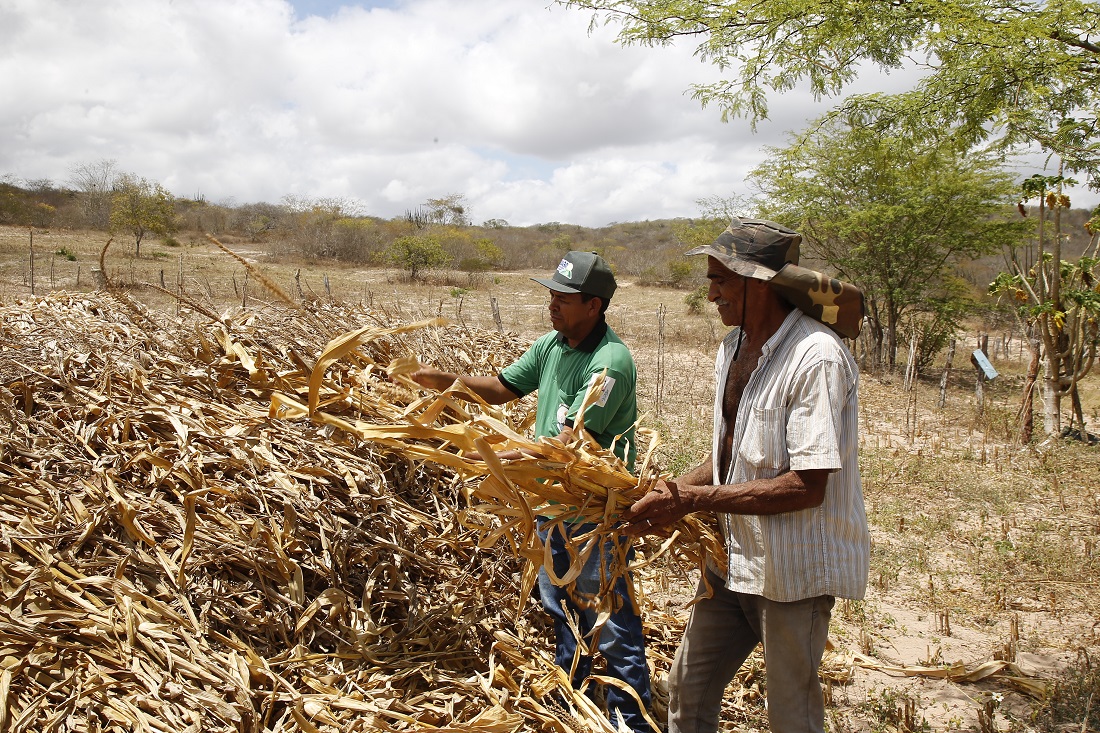 Mais seis municípios sergipanos receberão Garantia-Safra